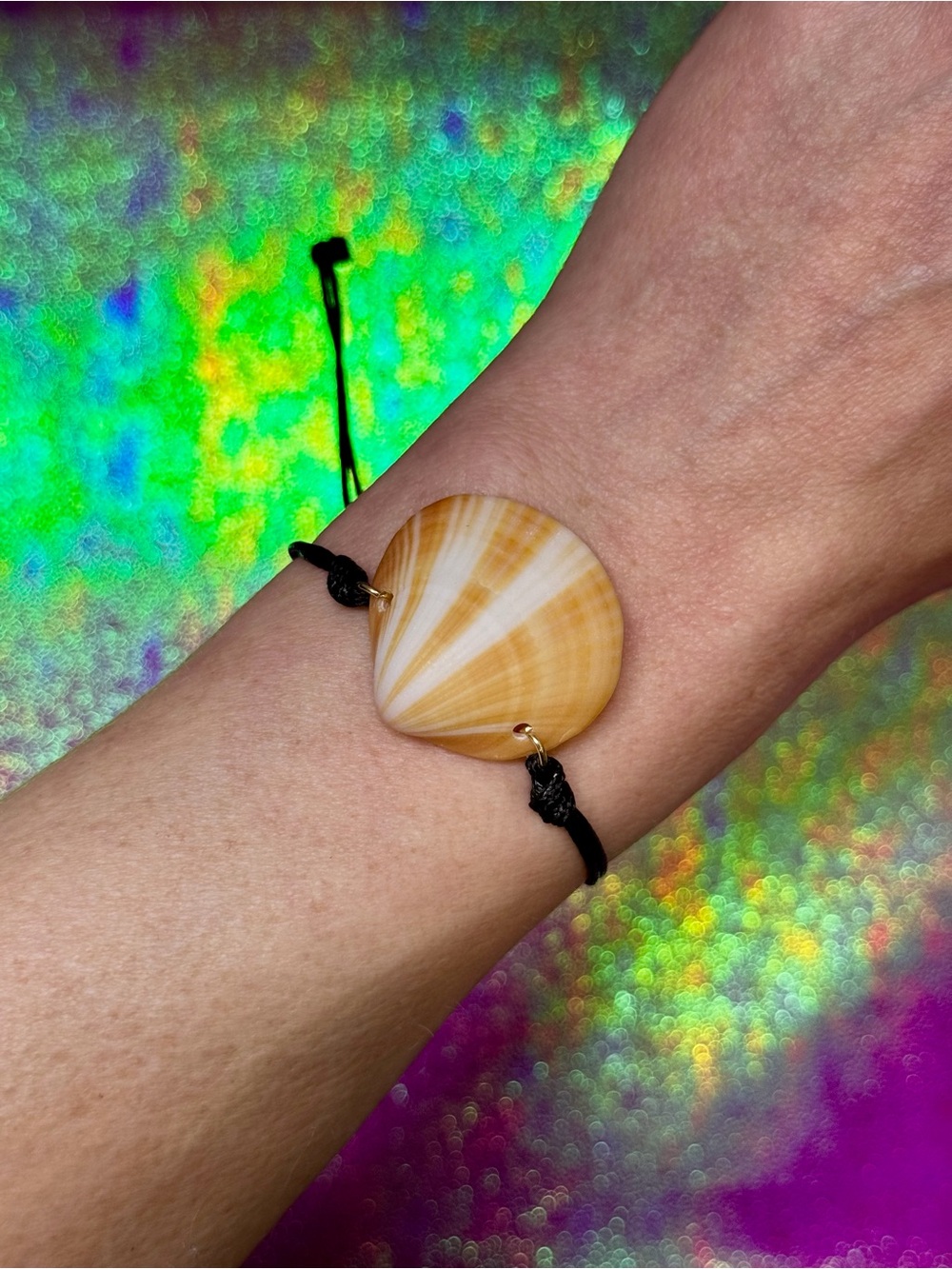 Rare Sunburst Clam Shell with Black Cord Bracelet
